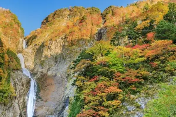 도야마-아름다운-가을철-단풍-풍경
