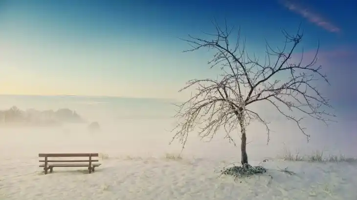 겨울철-아름다운-설경-속-비에이-풍경